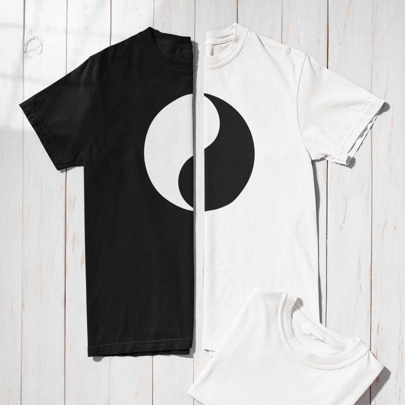 perfect pair couple t shirt